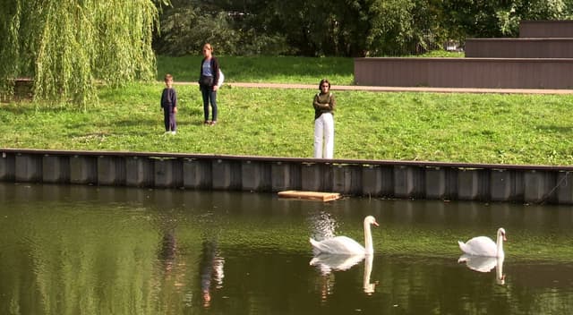 Центральный парк Победы - фото 2