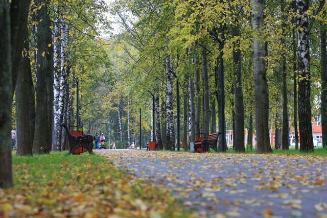 Центральный парк Победы - фото 3